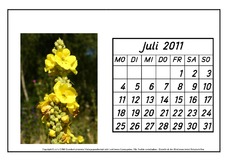 Kalenderblatt-Juli-2011-2.pdf